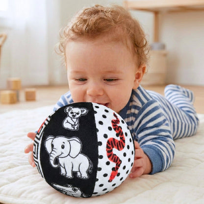 Baby's First Set of Balls - High Contrast and Globe Soft Balls