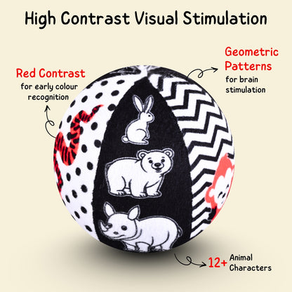 Baby's First Set of Balls - High Contrast and Globe Soft Balls